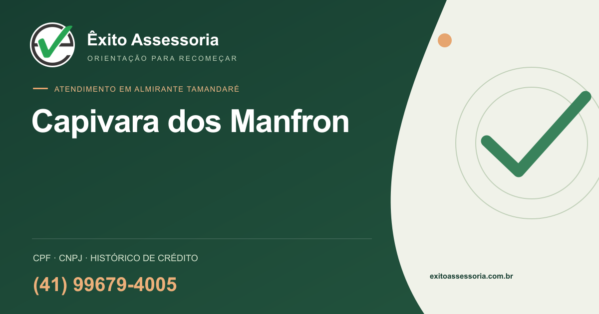 Assessoria de CPF e CNPJ em Capivara dos Manfron, Almirante Tamandaré · Êxito · (41) 99679-4005