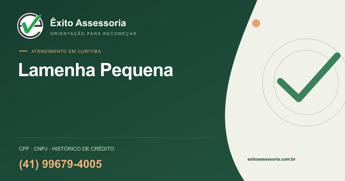 Assessoria de CPF e CNPJ em Lamenha Pequena, Curitiba · Êxito · (41) 99679-4005